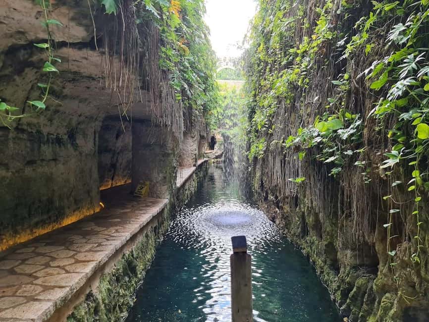 image n.8 of Uxmal: Mayan Archeological Tour, Hacienda visit & Cave Swim activity in Abala, uploaded by supplier