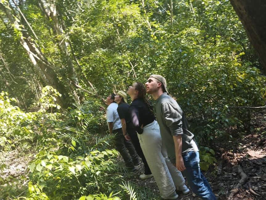 Bild Nr. 8 von Bacalar: Tagestour zu den Calakmul-Ruinen mit einem Stopp im Dschungel Aktivität in Bacalar, hochgeladen vom Anbieter