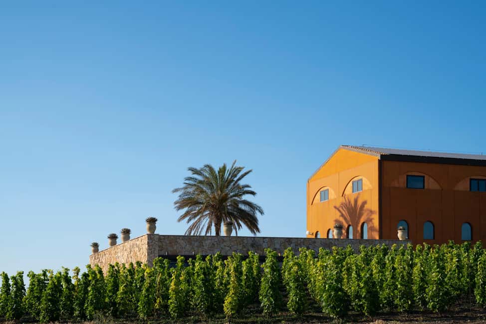Immagine nº 7 di Degustazione di vini e assaggi tipici nel Val di Noto attività a Noto, caricata dal fornitore