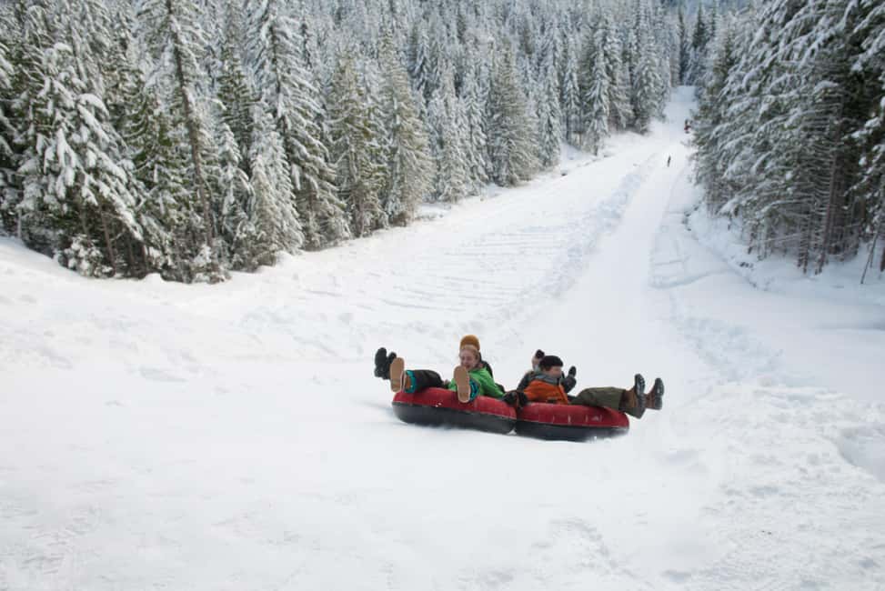 image n.9 of Squamish: Sea to Sky Gondola Admission Ticket activity in Squamish, uploaded by supplier