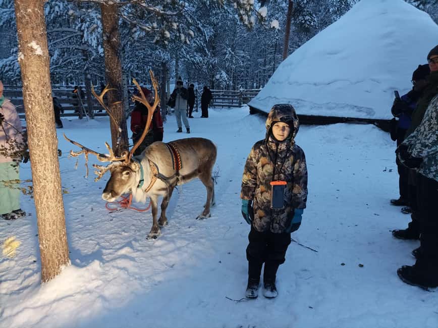 bild nr.4 av Rovaniemi: Ranua's Wildlife Park Biljett med transport aktivitet i Norra Österbotten, uppladdad av arrangören