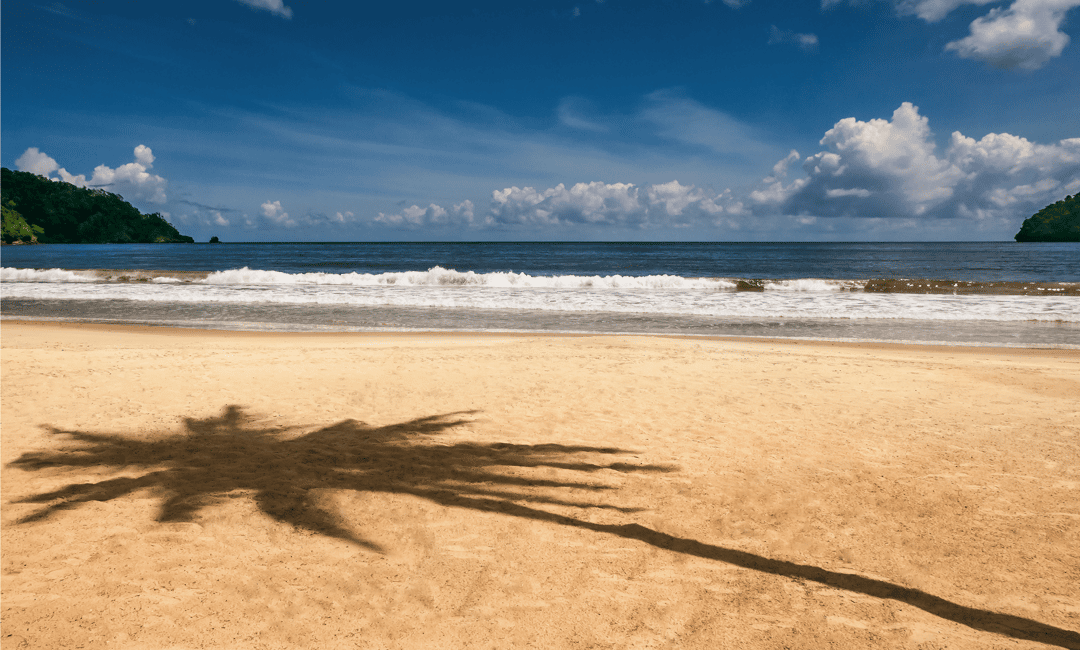 image n.8 of Trinidad: Highlights tour with Maracas Bay activity in San Juan-Laventille, uploaded by supplier