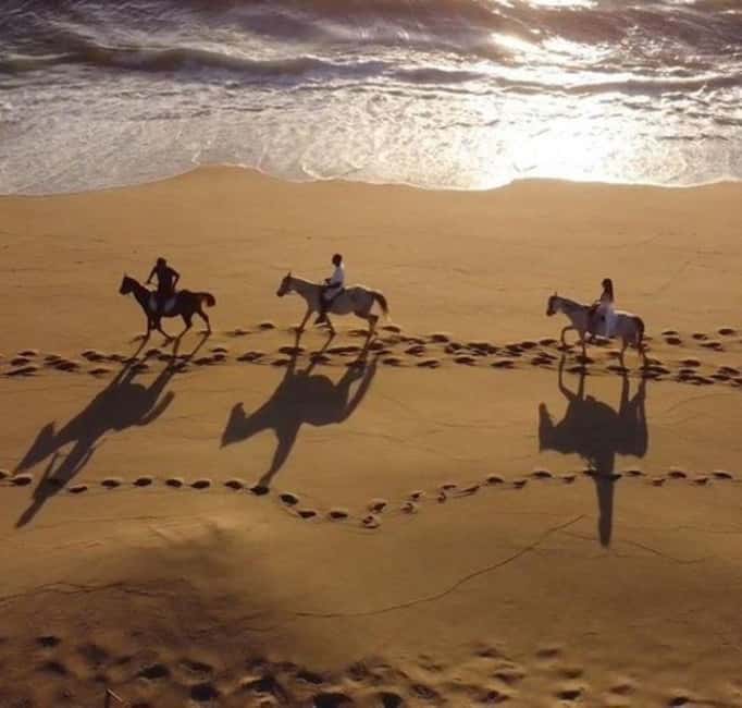 imagem n.3 de Melides: Passeios a cavalo na praia de Melides atividade em Melides, carregada pelo fornecedor