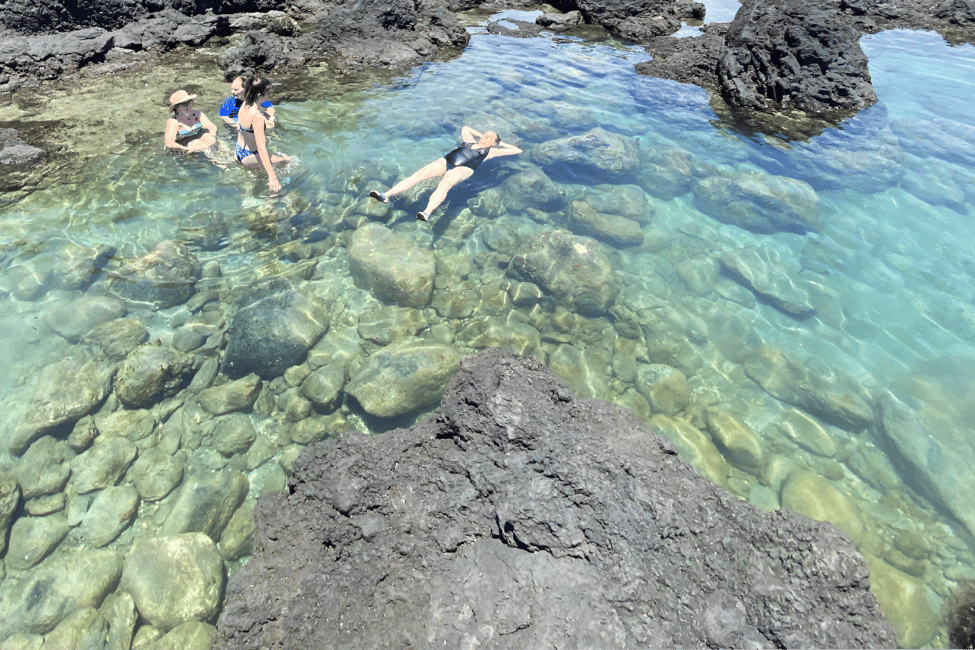 Immagine nº 21 di Escursione alle pozze di marea segrete - Giungla e costa - Privato attività a Pahoa, caricata dal fornitore