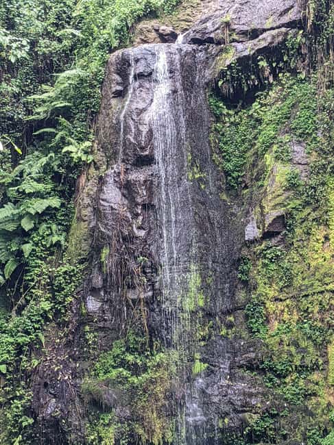image n.3 of Arusha: Napuru Waterfalls Guided Hike activity in Arusha (Region), uploaded by supplier