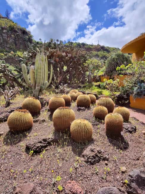 image n.45 of Private Bandama Caldera, Botanic Garden(/Wine*), Old Town activity in Las Palmas, uploaded by supplier