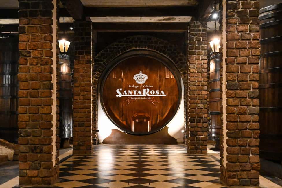 Immagine nº 3 di Cantina Santa Rosa: Tour di degustazione della Famiglia Passadore con pranzo attività a Dipartimento di Montevideo, caricata dal fornitore