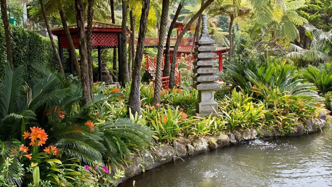image n.4 of Madeira: Monte Tropical Gardens + Old Town Tuk Tuk by MadTuk activity in Funchal, uploaded by supplier