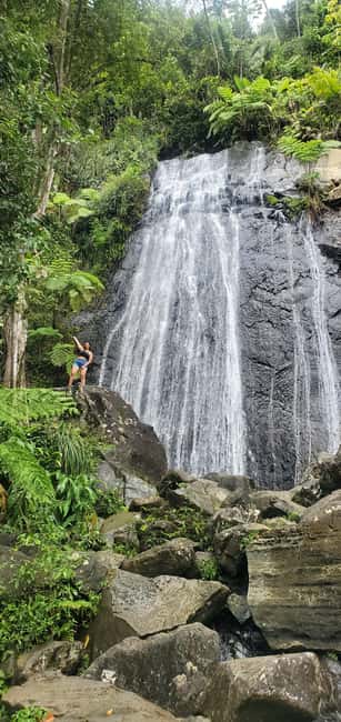 billede nr.2 af aktiviteten Fra San Juan: El Yunque regnskov og Luquillo strandtur i Río Grande, Puerto Rico, uploadet af udbyder