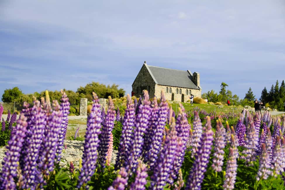image n.2 of Christchurch: Mount Cook & Lake Tekapo 2-Day Stargazing Tour activity in South Island, uploaded by supplier