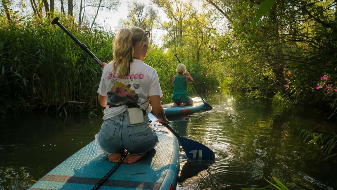 imagen n.º 1 de Biesbosch Alquiler de tablas de SUP actividad en Dordrecht, subida por el proveedor