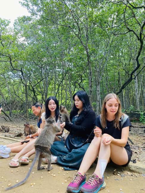 Immagine nº 15 di Da Ho Chi Minh City: Mangrovie di Can Gio e trekking sull'Isola delle Scimmie attività a Città di Ho Chi Minh, caricata dal fornitore