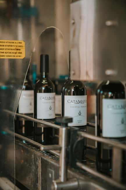 Immagine nº 5 di Tour della cantina Castillo Viejo e degustazione premium attività a Montevideo, caricata dal fornitore