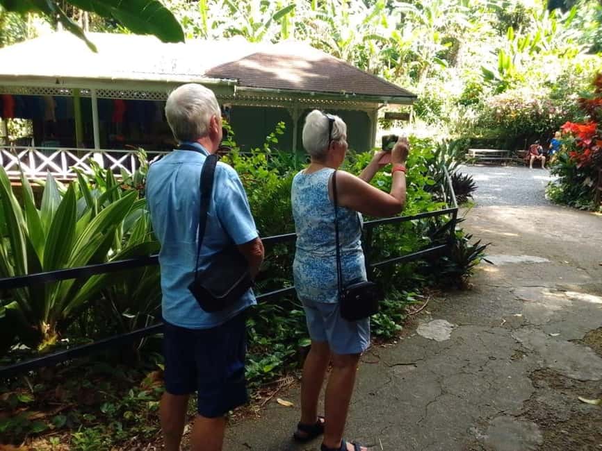 image n.32 of St. Lucia: Private Customizable Day Tour with Driver activity in Castries Quarter, Saint Lucia, uploaded by supplier