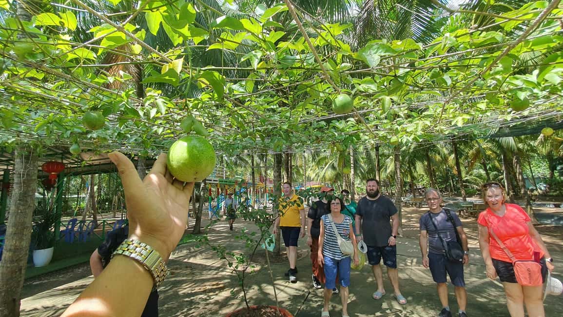 image n.23 of From Ho Chi Minh: Mekong Delta, My Tho & Ben Tre Day Trip activity in My Tho, uploaded by supplier