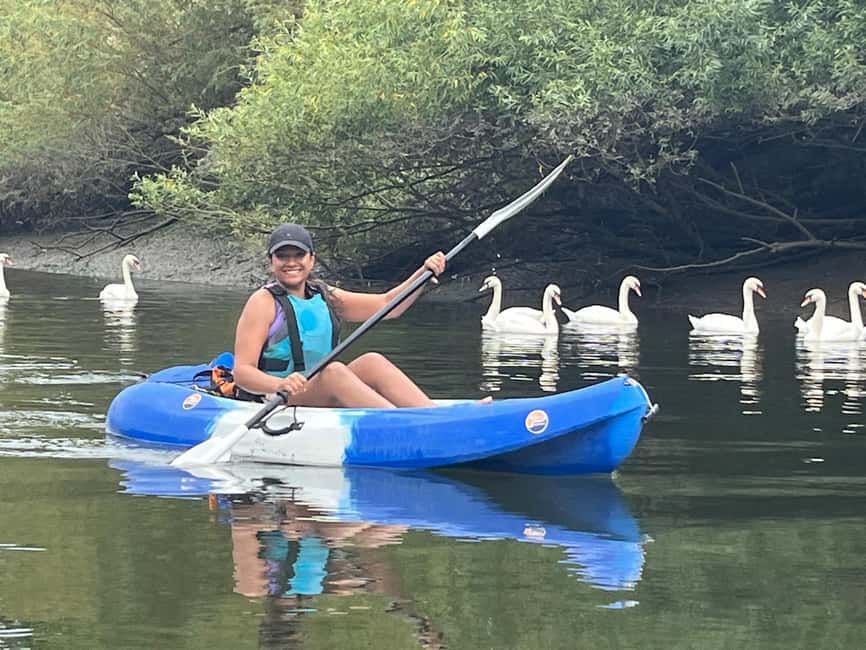 image n.4 of Group Kayak Experience on the beautiful Thames at Richmond activity in United Kingdom, uploaded by supplier