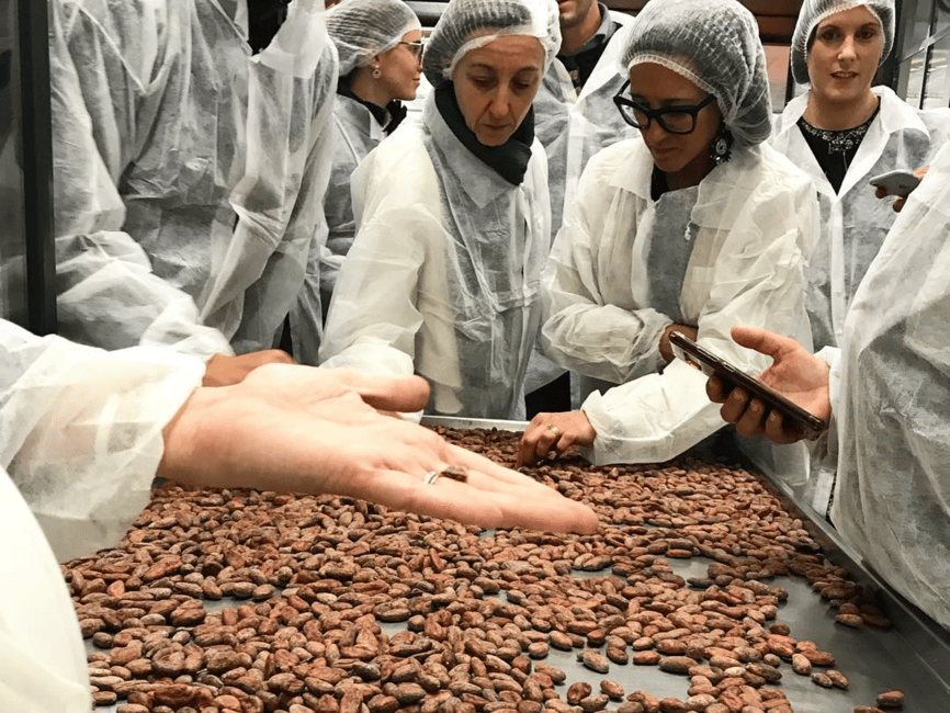 billede nr.2 af aktiviteten Rundvisning og smagning på chokoladefabrikken nær Alessandria i Novi Ligure, uploadet af udbyder
