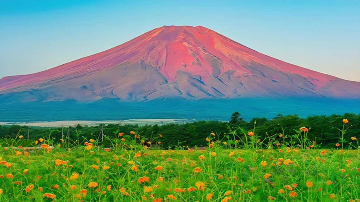 obrázek č.3 aktivity Tokio: Celodenní výlet po šesti majestátních místech hory Fuji v destinaci Fujikawaguchiko, nahraný poskytovatelem aktivity