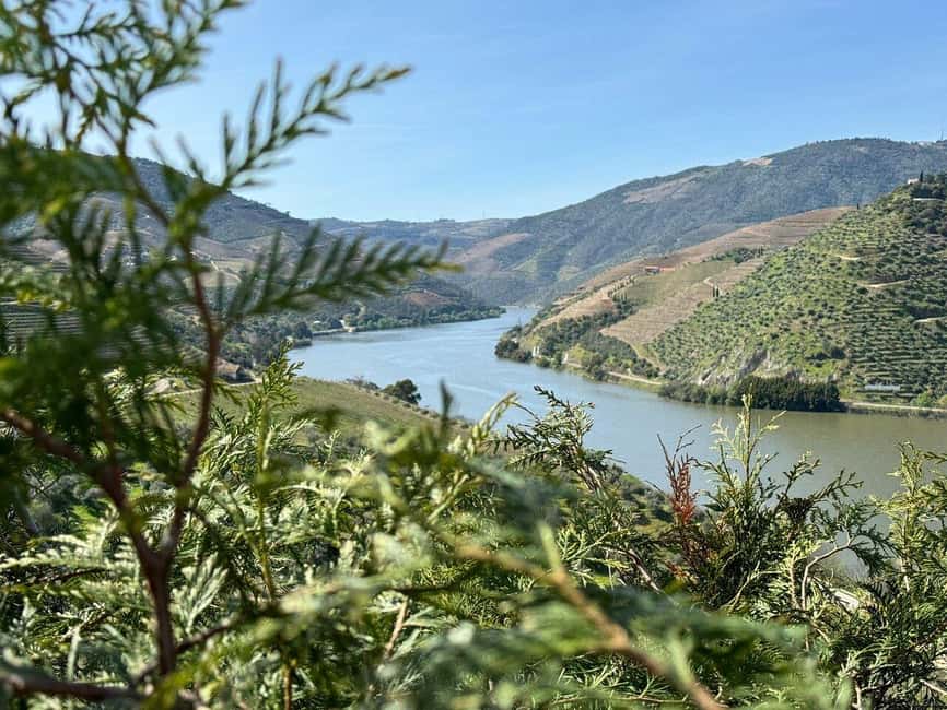Image N°21 de Depuis Porto : Vallée du Douro avec vignobles, déjeuner et excursion en bateau activité à Région Nord, Portugal, publiée par le prestataire