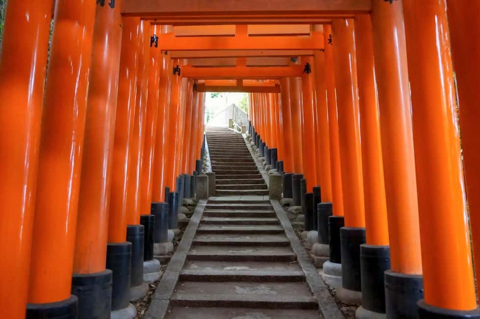 obrázek č.28 aktivity Osaka/Kyoto: Fushimi Inari Taisha, Arashiyama, Nara autobusová prohlídka v destinaci Kjóto, nahraný poskytovatelem aktivity
