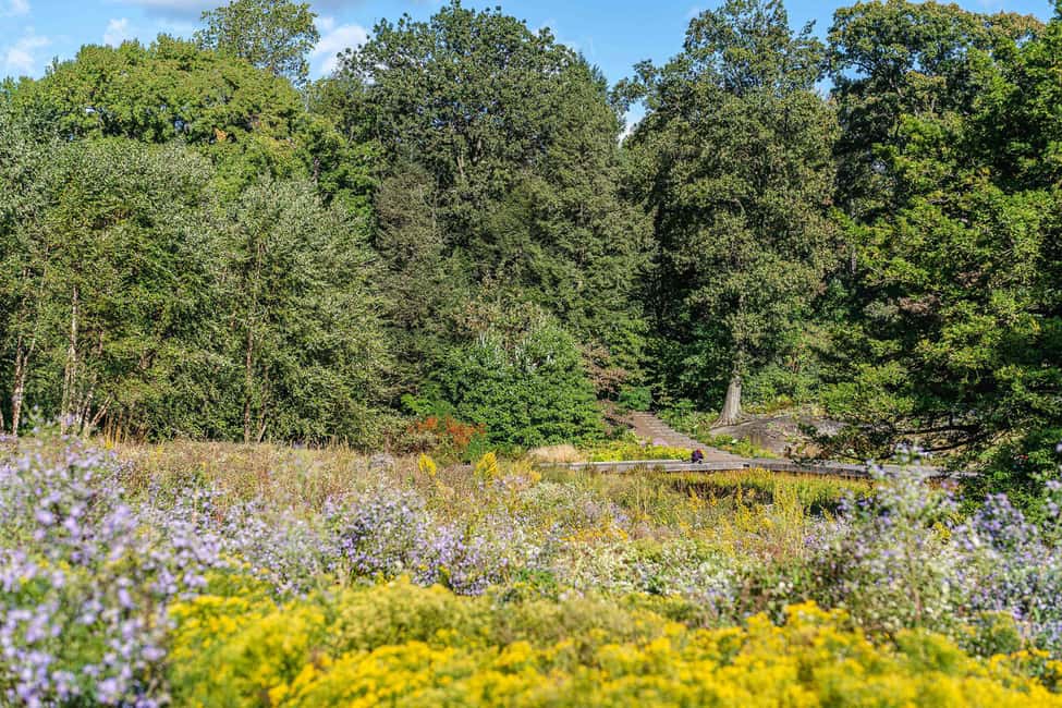 image n.18 of NYC: New York Botanical Garden Pass activity in New York City, uploaded by supplier