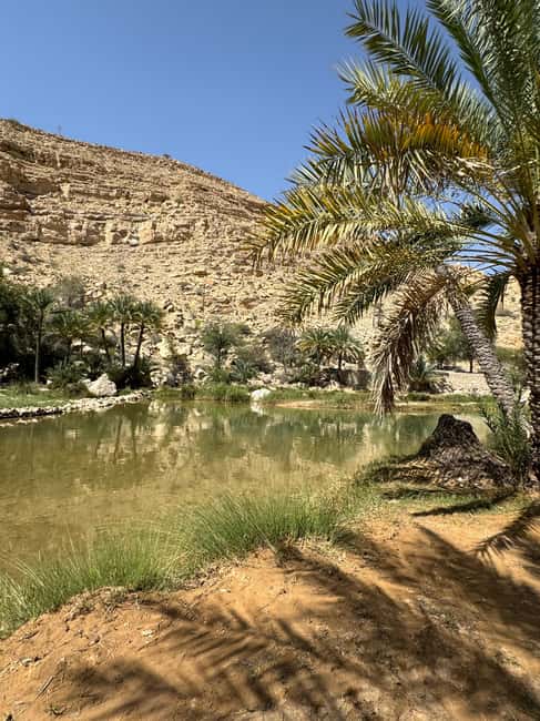 Immagine nº 10 di Da Muscat: Safari privato nel deserto, pernottamento e Wadi Khalid attività a Regione al-Sharqiyya, caricata dal fornitore