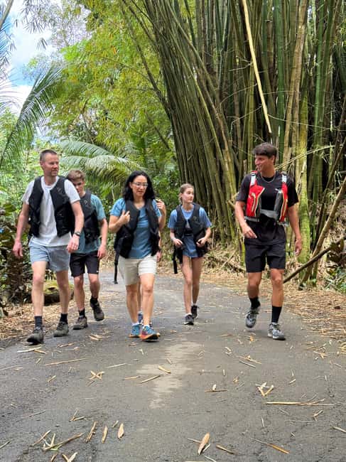 image n.7 of San Juan: El Yunque Half-Day Guided Tour with Transportation activity in Río Grande, Puerto Rico, uploaded by supplier
