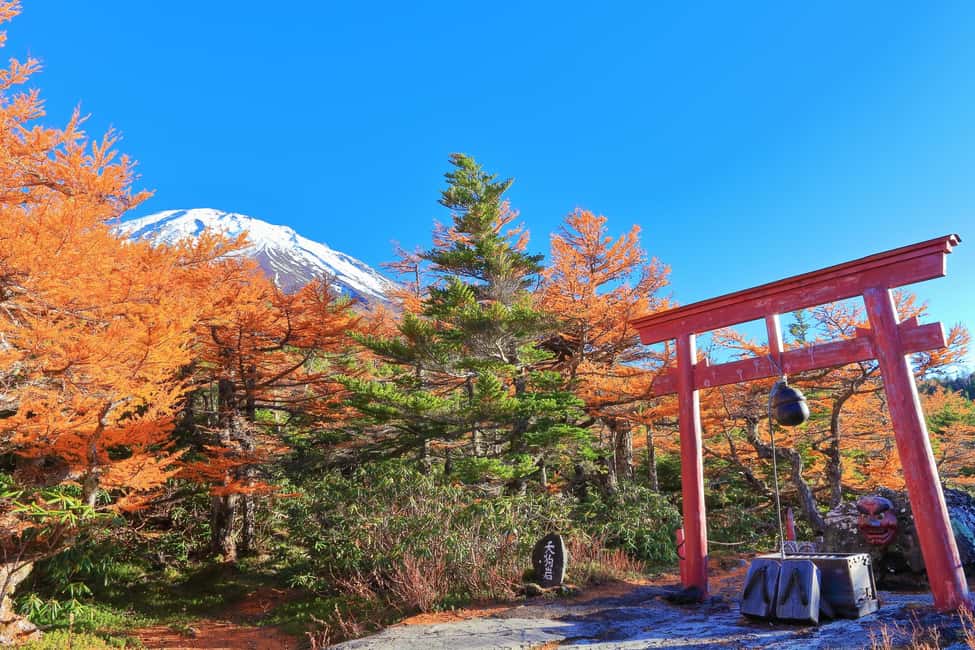 image n.17 of Tokyo: Mt. Fuji and Kawaguchiko Tour with Ropeway and Cruise activity in Fujikawaguchiko, uploaded by supplier