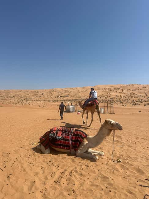 Immagine nº 13 di Muscat: giro in cammello al tramonto nel deserto di Bidiya con trasferimento attività a Regione al-Sharqiyya, caricata dal fornitore