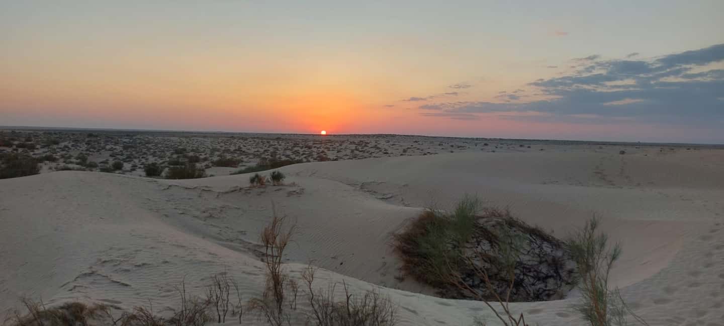 image n.56 of From Yasmine Hammamet/Kantaoui: 2-Day Sahara Tour with Meals activity in Tozeur Governorate, uploaded by supplier