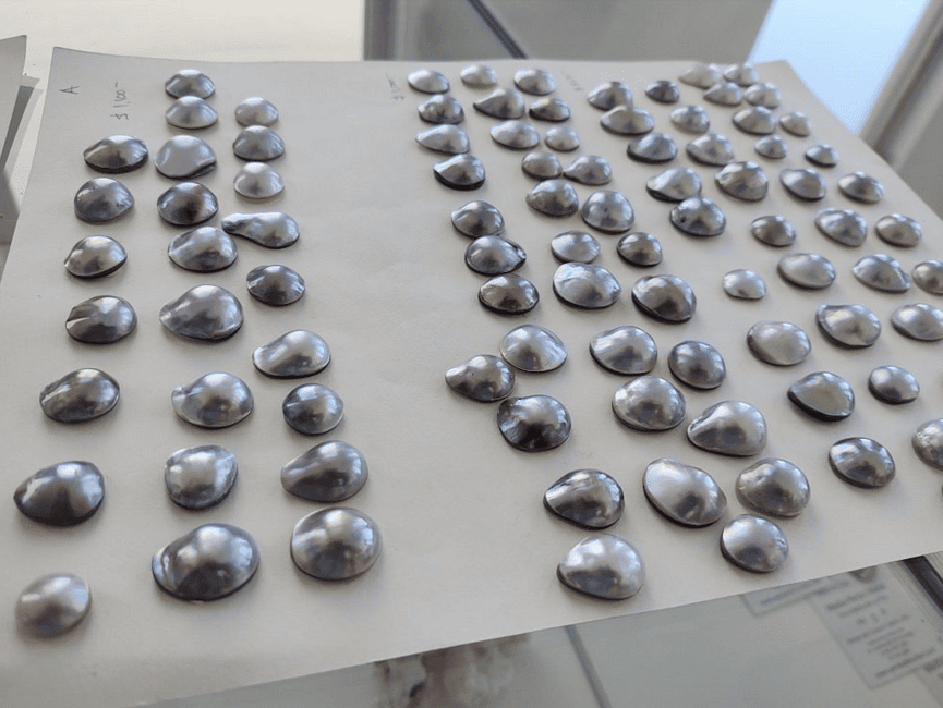 image n.5 of La Paz: Pearl Farm Experience and shop activity in La Paz, Mexico, uploaded by supplier