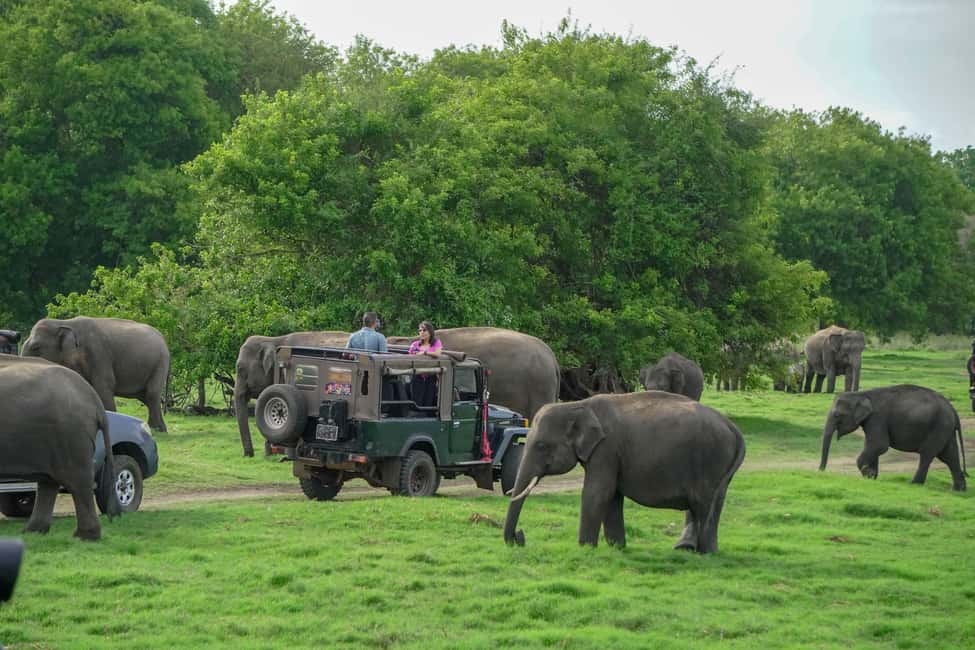 image n.7 of Kaudulla National Park Half Day Sri Lanka Jeep Safari activity in North Central Province, uploaded by supplier