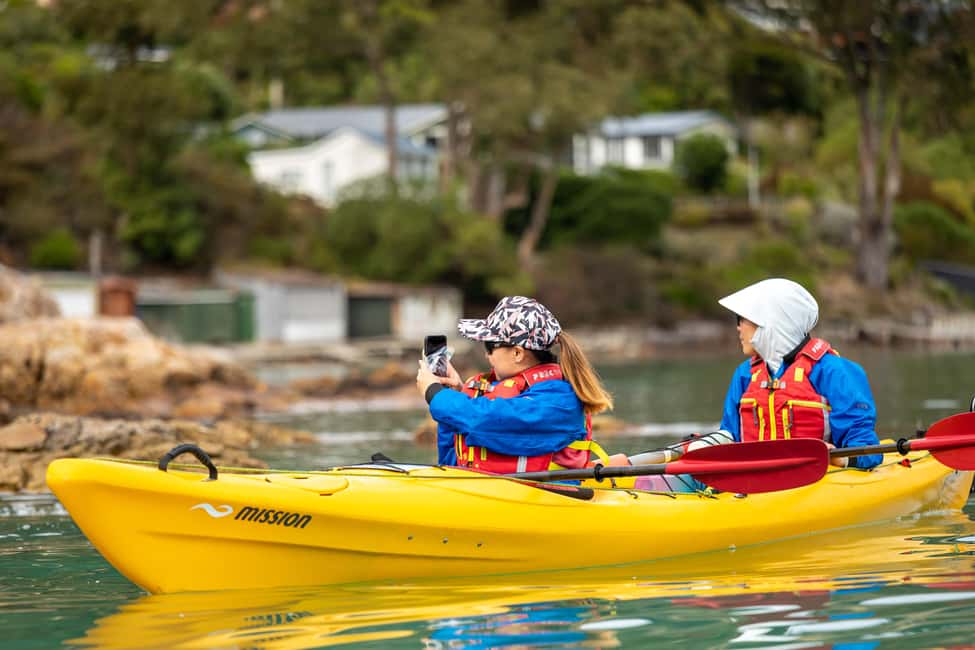 image n.12 of Christchurch: Sea Kayaking Tour of Lyttelton Harbour activity in South Island, uploaded by supplier