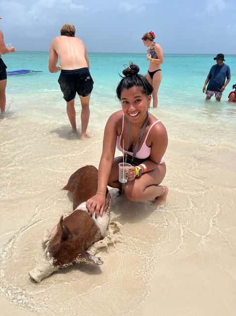 Image N°81 de Nassau : Cochons, plongée en apnée, tortues, déjeuner, club de plage privé activité à New Providence, publiée par le prestataire