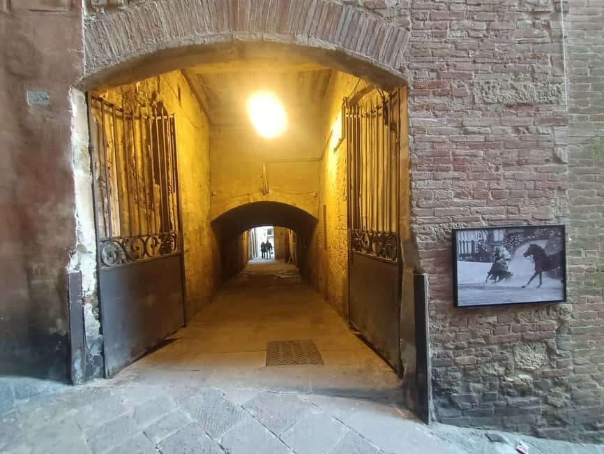 imagen n.º 7 de Degustación de vino y helado de Siena actividad en Siena, subida por el proveedor
