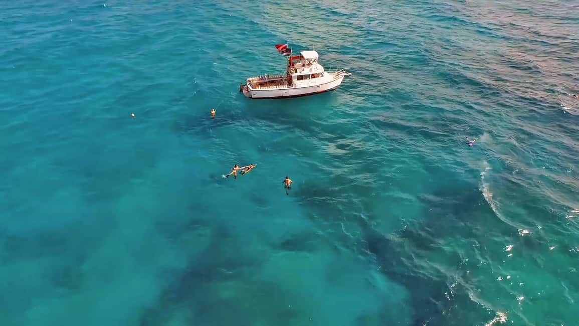 bild nr.12 av Florida Keys: Heldagsäventyr med kajak och snorkling vid korallrev aktivitet i Florida, uppladdad av arrangören