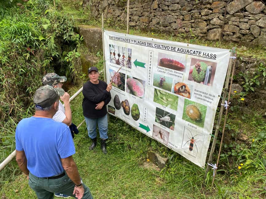 imagem n.20 de Tour particular a Guatapé com atividades opcionais atividade em Guatapé, carregada pelo fornecedor