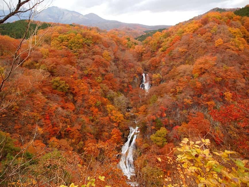 Immagine nº 10 di I maestosi paesaggi di Nikko: Tour privato guidato attività a Nikkō, caricata dal fornitore