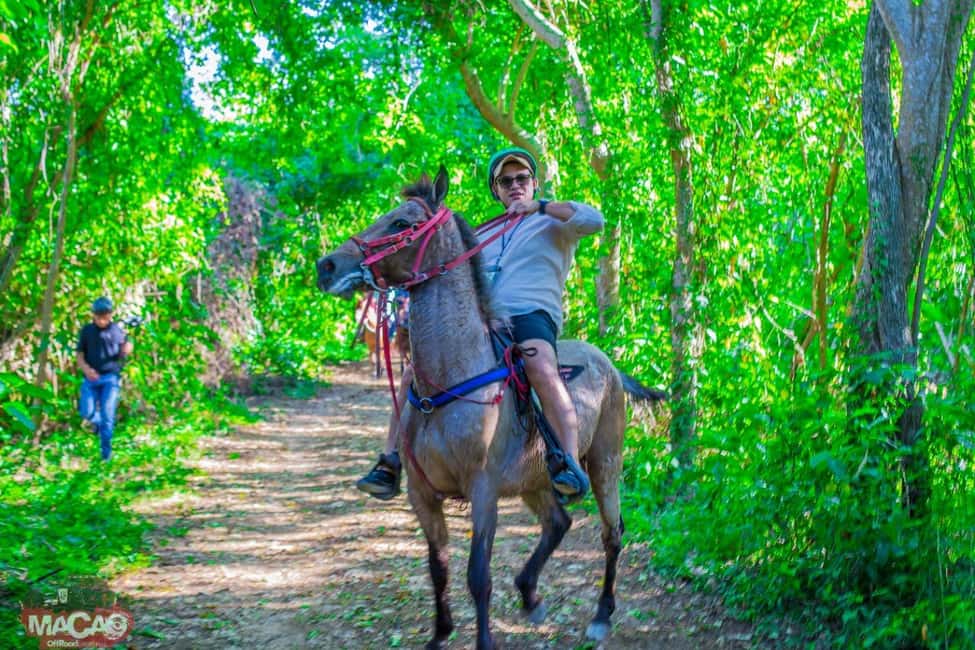 imagem n.3 de Passeio a cavalo em Punta Cana e pôr do sol + praia + transporte gratuito atividade em Higüey, carregada pelo fornecedor