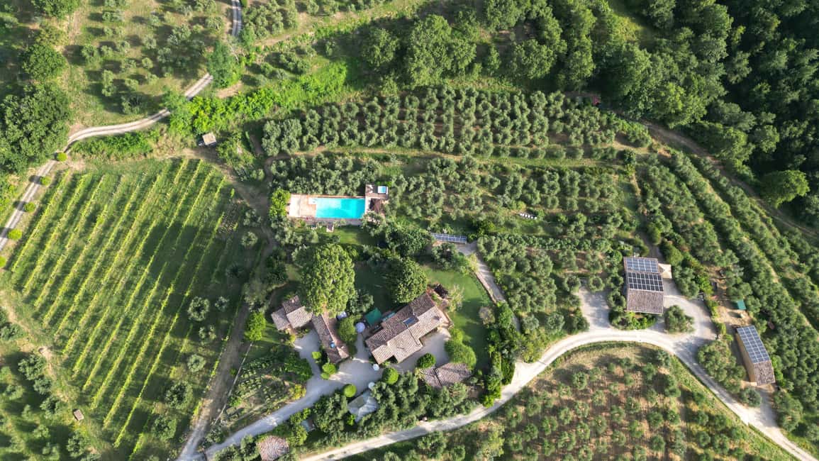 image n.4 of Paciano: Organic Cooking Class at a Farm with Lunch & Wine activity in Montepulciano, uploaded by supplier