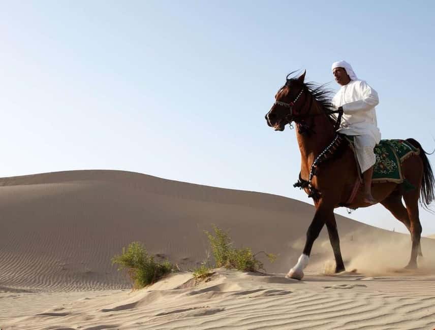 Bild Nr. 7 von Doha Reitabenteuer in der Wüste mit Transfers Aktivität in Doha, hochgeladen vom Anbieter