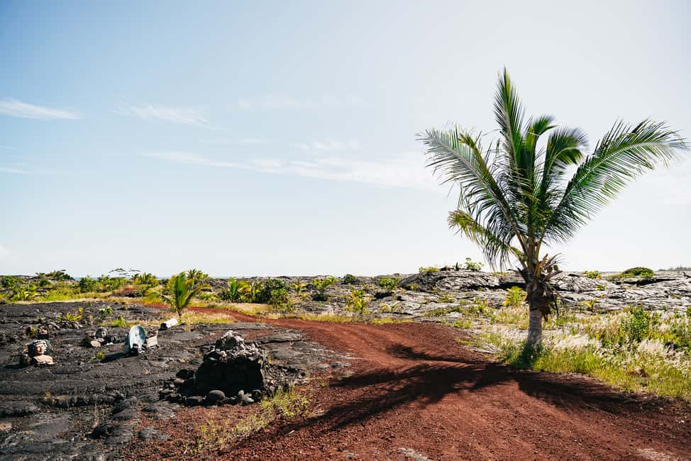 Immagine nº 9 di Isola Grande: Esploratore serale del vulcano da Hilo attività a Hawaii, caricata dal fornitore