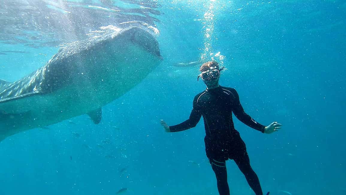 imagem n.7 de Cebu: Natação com tubarões-baleia e excursão de canoagem em Kawasan atividade em Badian, carregada pelo fornecedor