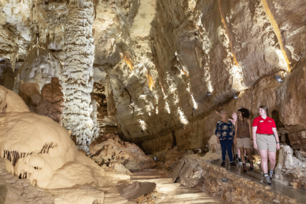 image n.12 of San Antonio: Discovery Tour at Natural Bridge Caverns activity in San Antonio, uploaded by supplier