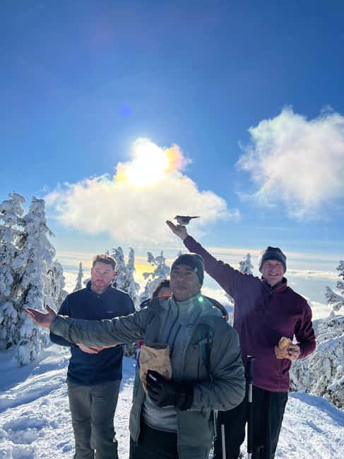image n.8 of Vancouver: North Shore Mountains Snowshoeing with Transfer activity in West Vancouver, uploaded by supplier