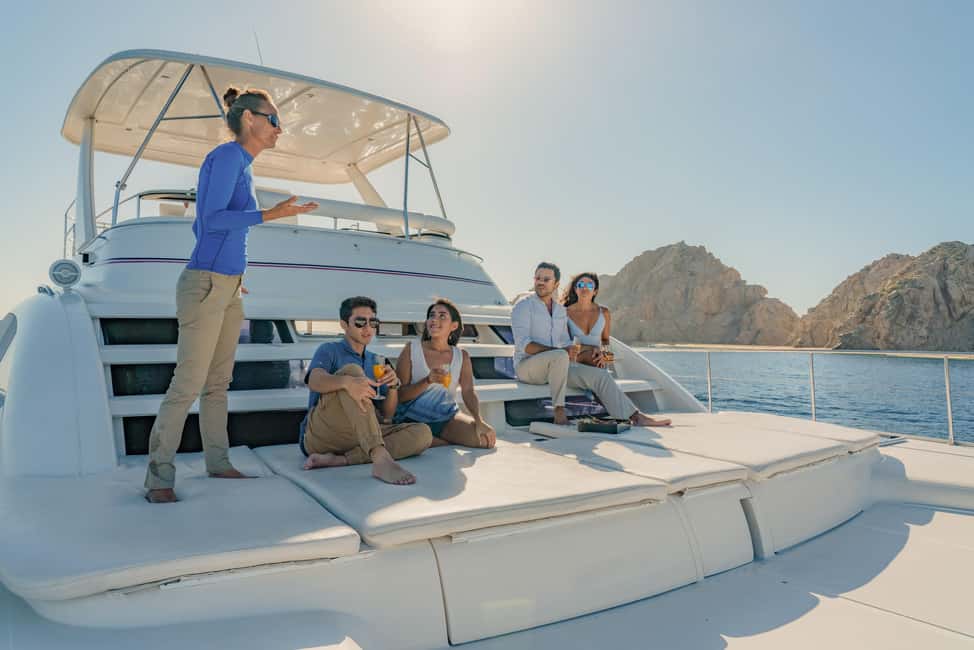 Bild Nr. 8 von Cabo San Lucas: Luxus-Katamaran-Walbeobachtungserlebnis Aktivität in Cabo San Lucas, hochgeladen vom Anbieter