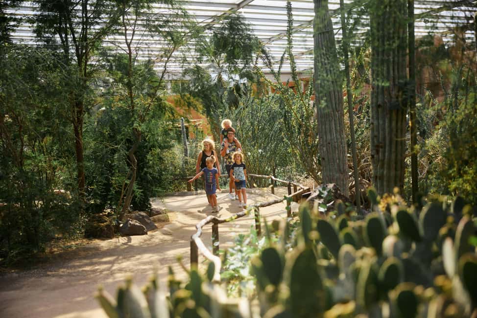 bilde nr.6 av Arnhem: Inngangsbillett til Burgers' Zoo aktivitet i Arnhem, lastet opp av leverandør
