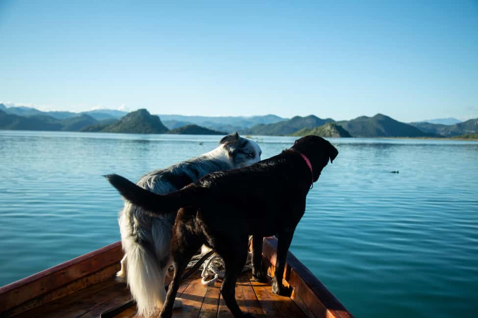 image n.29 of Virpazar: Historical & Nature Boat Adventure on Lake Skadar activity in Podgorica, uploaded by supplier