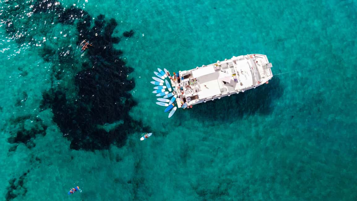 Image N°21 de Ibiza : croisière premium d'une journée à Formentera en catamaran activité à Sant Josep de sa Talaia, publiée par le prestataire