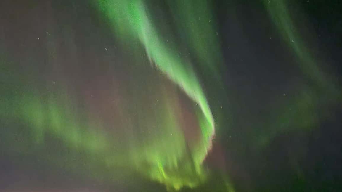 bild nr.9 av Från Reykjavik: Nordljuskryssning aktivitet i Reykjavik, uppladdad av arrangören